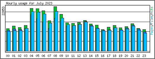 Hourly usage