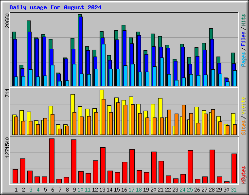 Daily usage for August 2024