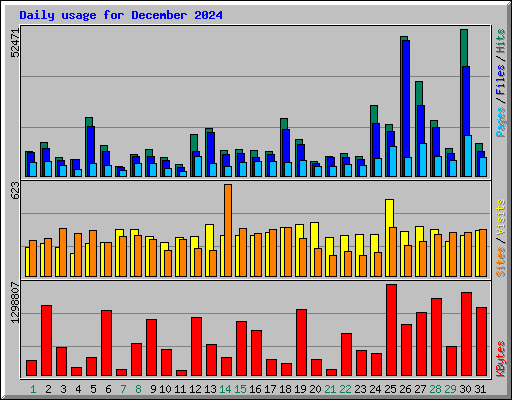 Daily usage for December 2024