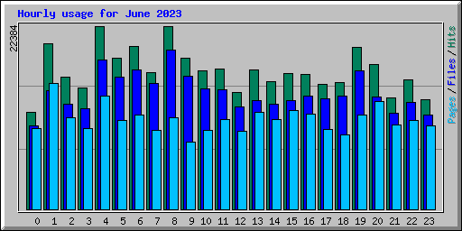 Hourly usage for June 2023