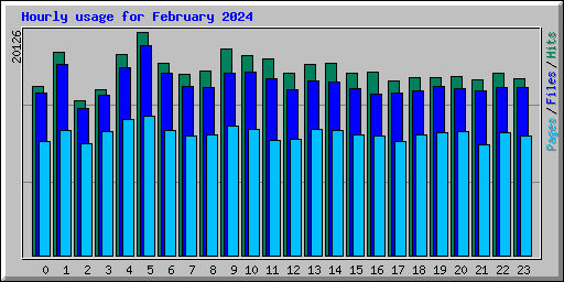 Hourly usage for February 2024