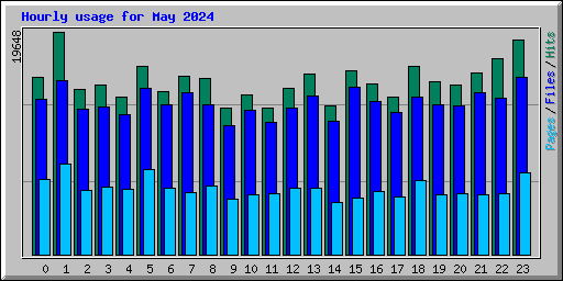 Hourly usage for May 2024