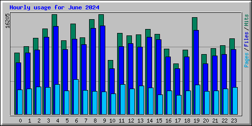 Hourly usage for June 2024