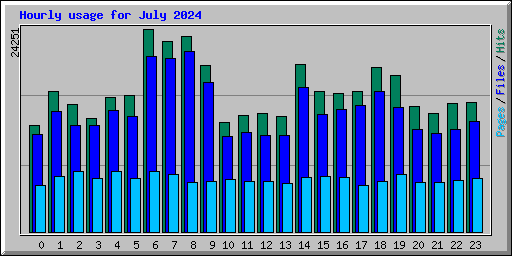 Hourly usage for July 2024