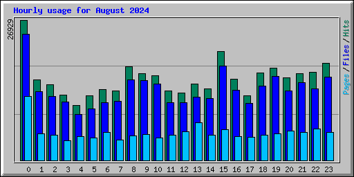 Hourly usage for August 2024