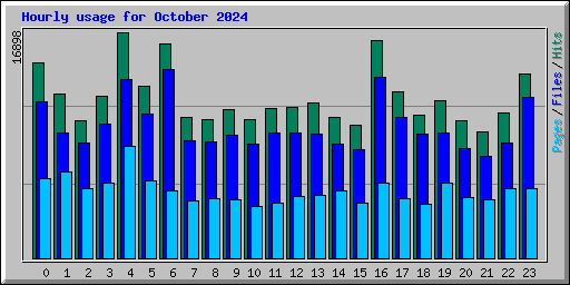 Hourly usage for October 2024