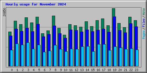 Hourly usage for November 2024
