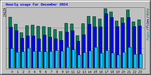 Hourly usage for December 2024