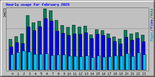 Hourly usage for February 2025