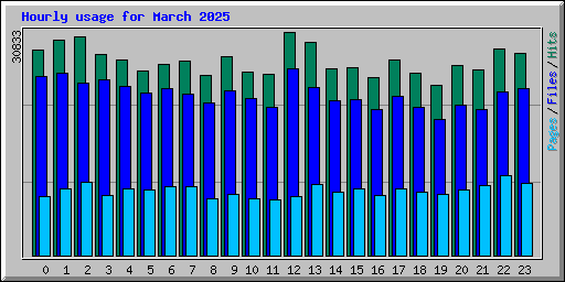 Hourly usage for March 2025