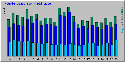 Hourly usage for April 2025